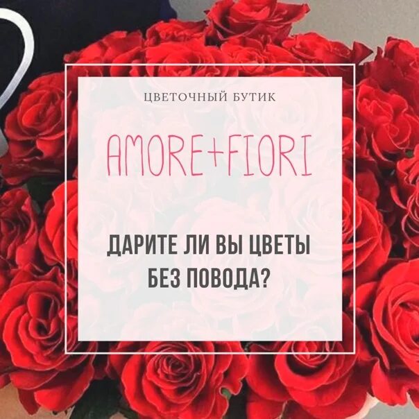 Цветы без повода. Дарите цветы без повода. Фразы про цветы без повода. Цветы без повода цитаты. Рингтон дарите женщинам цветы без повода