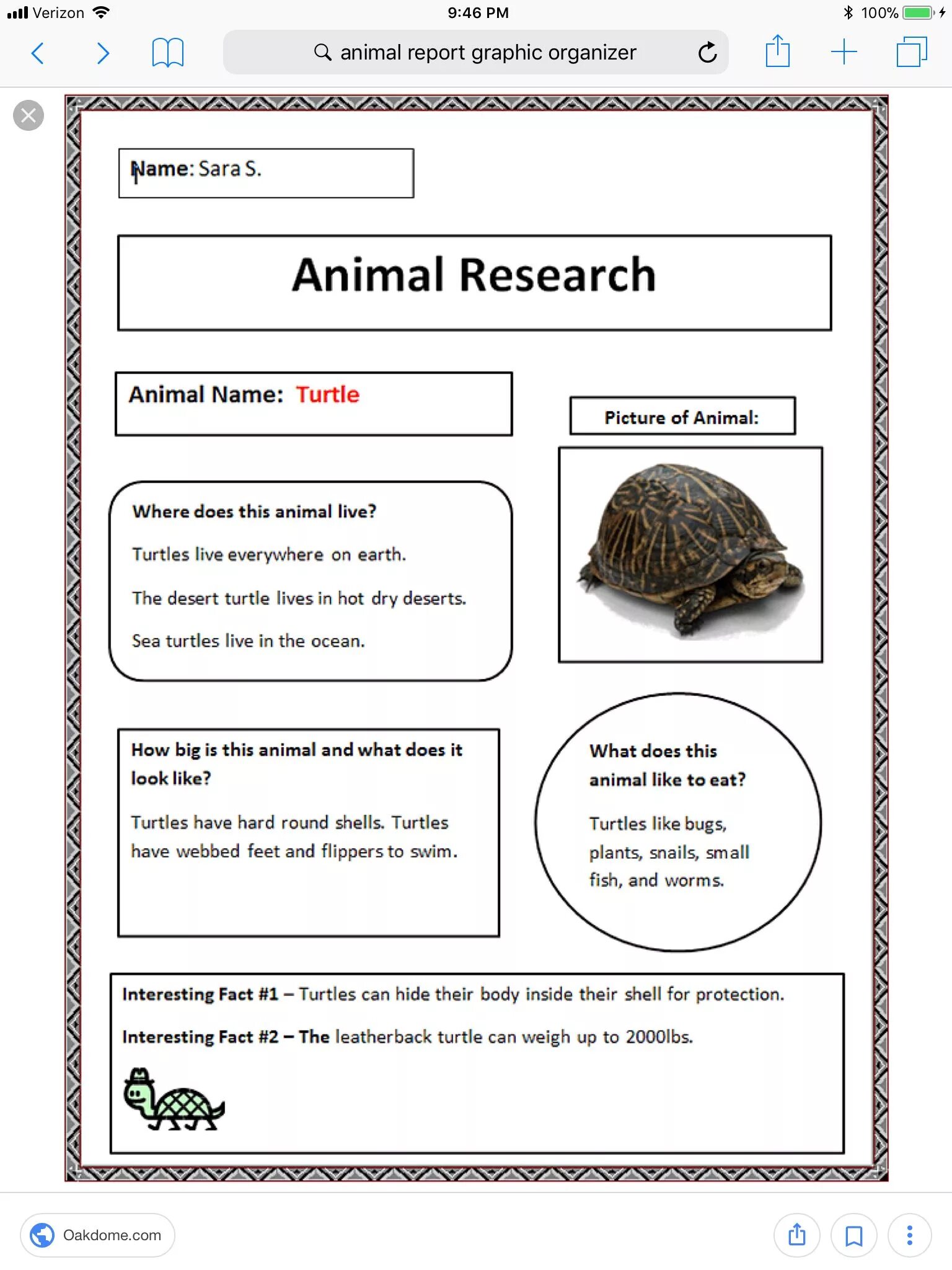 Facts about animals. Fact file о животных. Описание животного Worksheet. Speaking about animals Grade 1 класс. Animal fact file for Kids.