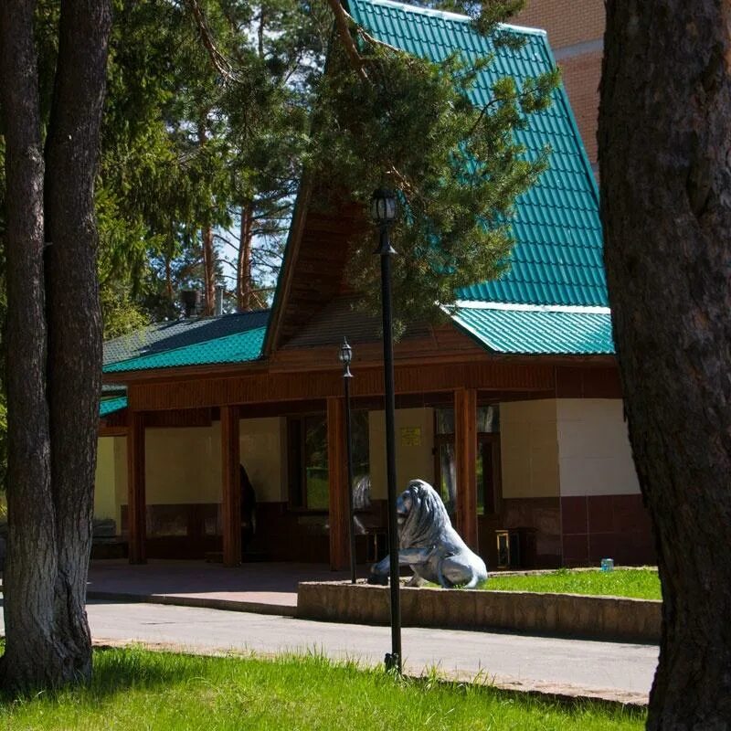Переславль залесский отели с бассейном. Лесная сказка переславль-залесский. гостиница лесная сказка переславль-залесский. лесная сказка гостиница переславль. ресторан лесная сказка переславль-залесский.