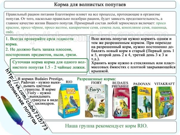 Корм попугаю волнистому. Чем кормить попугая. Чем кормить волнистого попугая. Чем кормить волнистого попугая в домашних. Чем кормить попугаев кроме корма