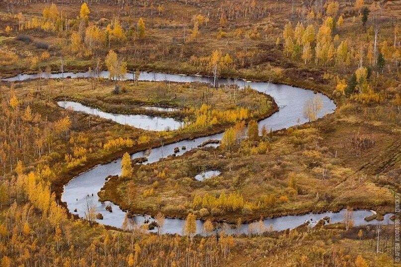 Река Васюган. Салехард река Васюган. Исток реки Васюган. Река Васюган Томская область.