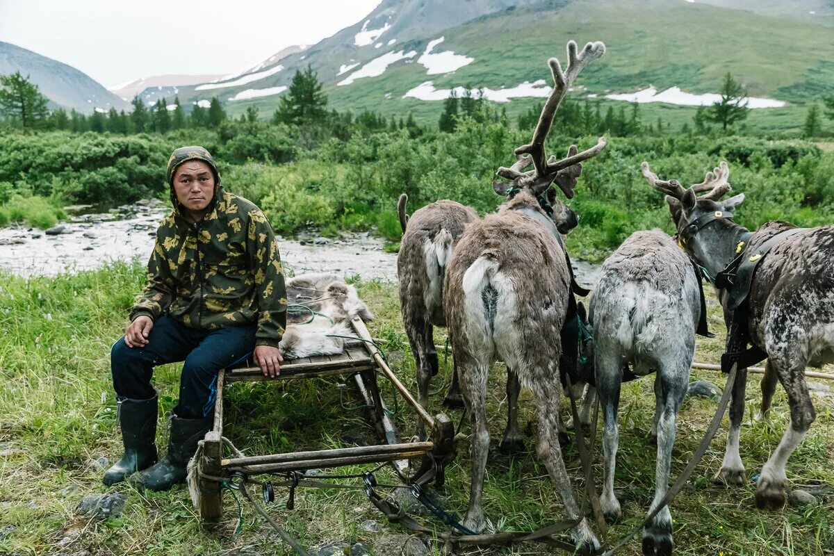 Полярный Урал у оленеводов. Стойбище оленеводов в тундре. Быт ненцев. Ненцы в горах.