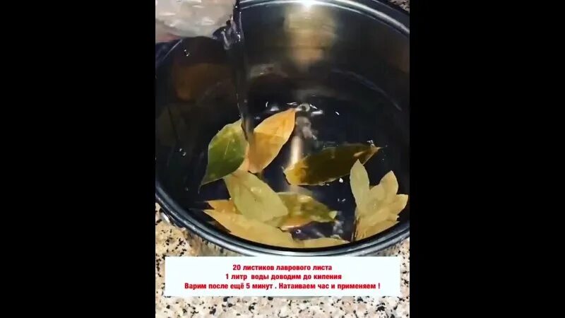 настой из лаврового листа для волос. настой из лаврового листа для волос. оливковое масло лавровый лист. лавровый лист для роста волос. лавровый лист от перхоти.