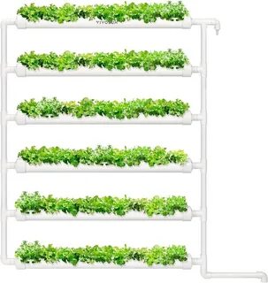 Plant sites