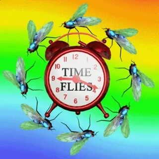 Fly time 3