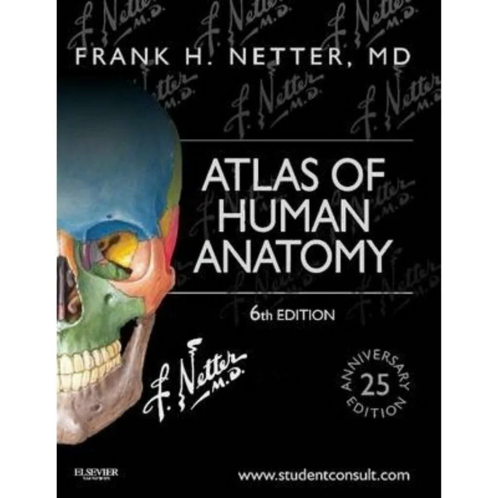 Atlas of human anatomy netter. Atlas of human anatomy frank h. netter. фрэнк неттер анатомия 6 издание. atlas of human anatomy (frank h. netter) 6th edition. фрэнк неттер анатомия.