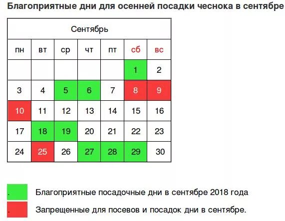 Хорошие дни для посадки чеснока. Благоприятные дни для посадки чеснока в сентябре. Лунный календарь для посадки чеснока. Посадочные дни чеснока в сентябре. Лунный календарь для посадки чеснока под зиму.