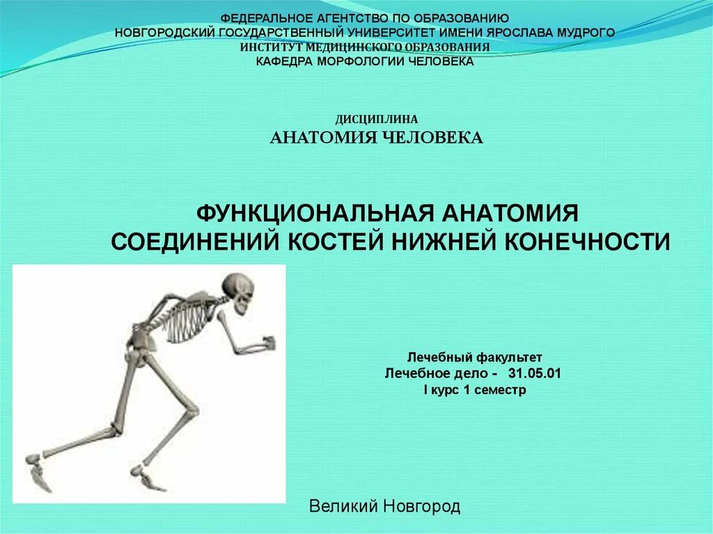 Функциональная анатомия соединений костей. Дисциплины анатомии. Функциональная анатомия соединения костей конечностей. Кости нижних конечности медицинский вуз. Соединение кости нижней конечности