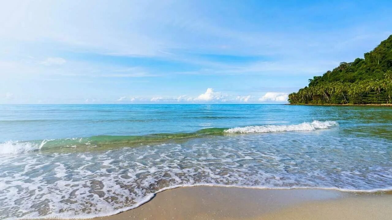 Лето на море отзывы. Море пляж. море волны пляж. берег моря. море песчаный пляж.