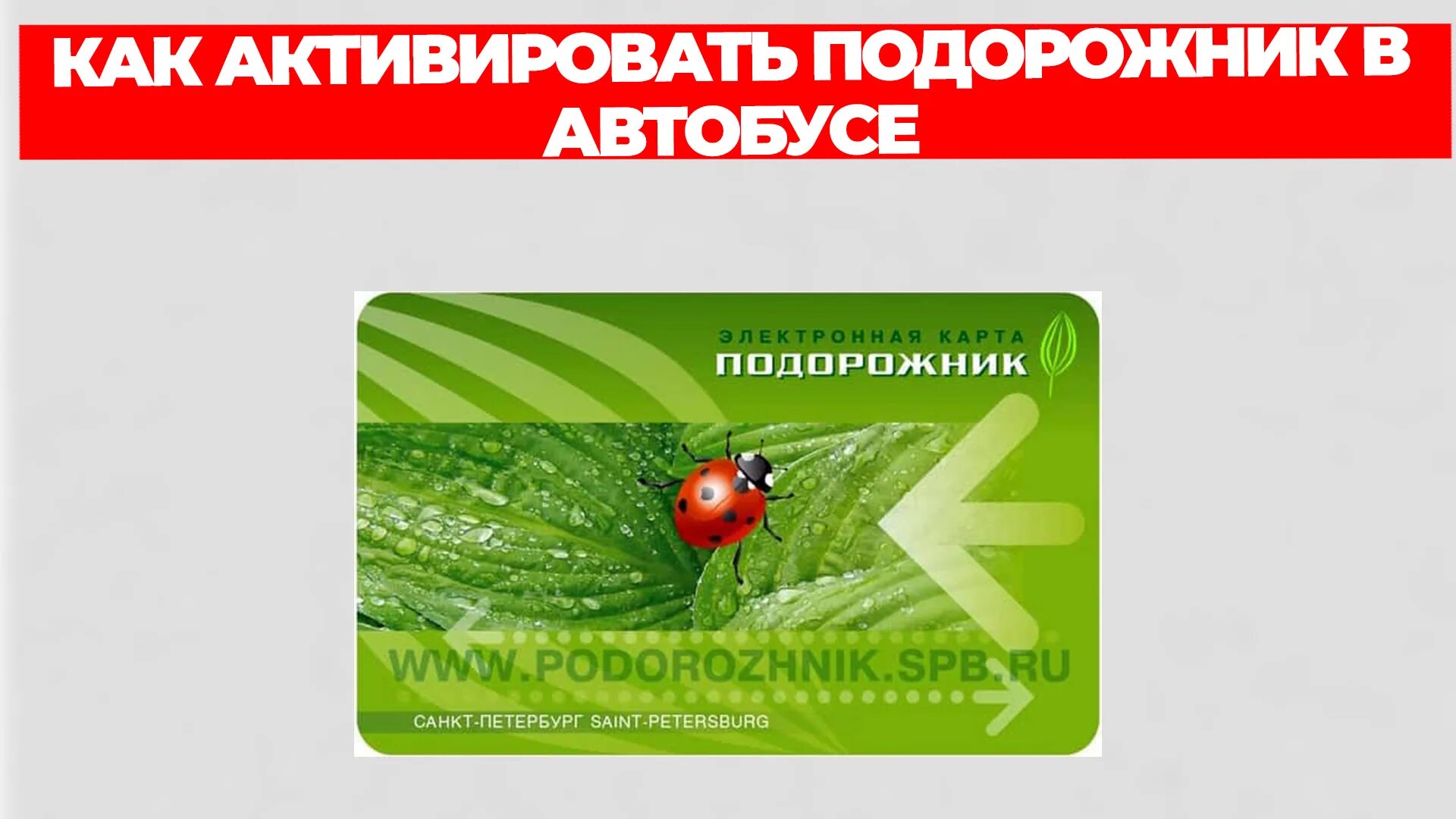 Можно ли пополнять подорожник. Как активировать подорожник в автобусе. Активация карты подорожник в автобусе. Активация карты подорожник СПБ. Аппарат для активации подорожника в автобусе.