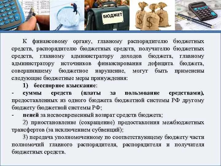 Бюджетный контроль главных распорядителей бюджетных средств. Бюджетный контроль главных распорядителей бюджетных средств