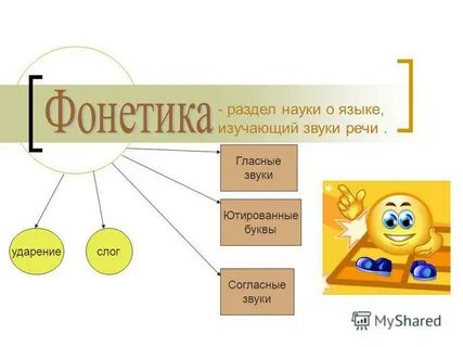 Науки о языке и речи