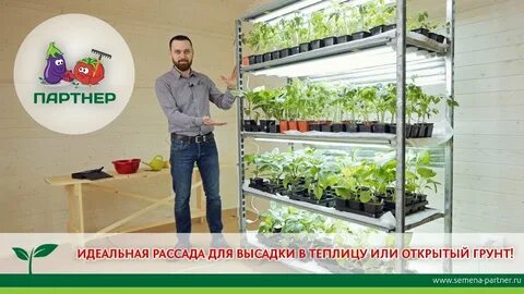 Теплица партнер