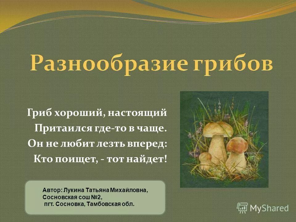 Биология 5 кл что такое грибы. Определение грибов 5 класс. Шляпочные грибы высшие грибы. Грибы определение 5 класс. Доклад на тему грибы.