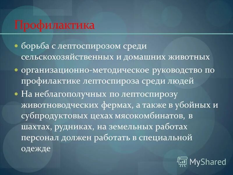 лептоспиры специфическая профилактика. профилактика лептоспироза у человека. профилактика лептоспироза у человека. методы профилактики лептоспироза. профилактика лептоспироза.