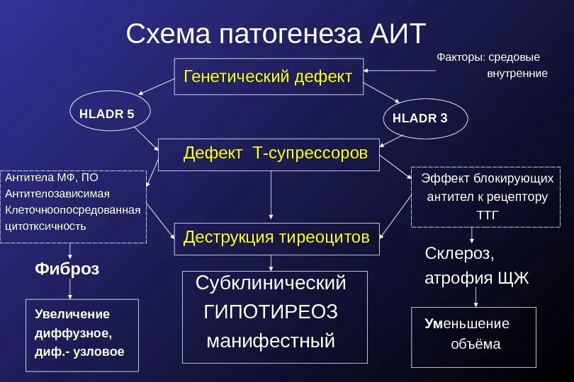 Аутоиммунный тиреоидит Хашимото этиология. Аутоиммунный тиреоидит патогенез схема. Аутоиммунный тиреоидит Хашимото патогенез. Аутоиммунный тиреоидит этиология патогенез. Наследственные и средовые факторы