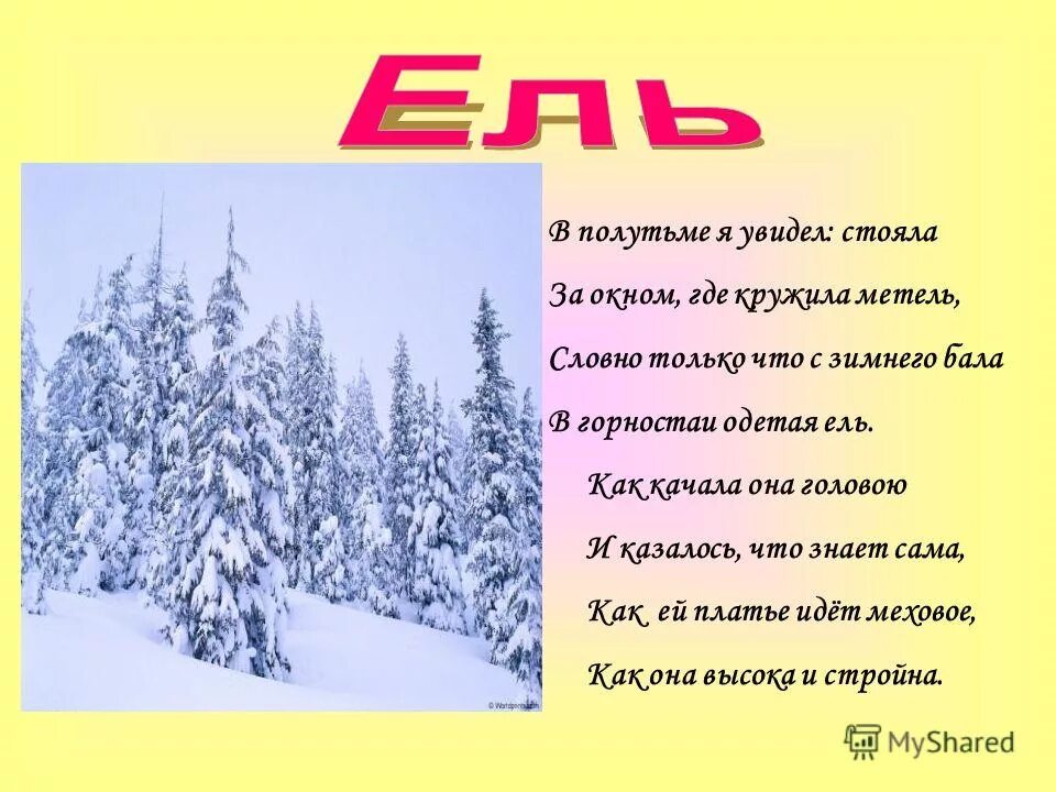 Года стоит заметить что. Как ласково назвать ель. Картина зима на ель надела шубу. Сочинение по картине Грабаря Февральская лазурь 4 класс. Новогодняя метель песня текст за окном метель кружится.