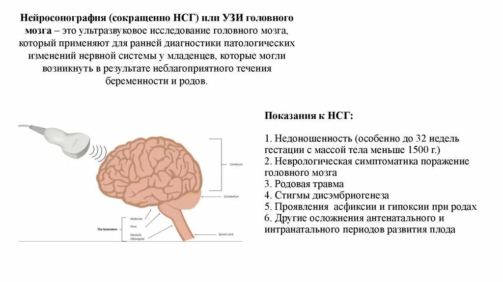 Нормы нсг. Ультразвуковое исследование головного мозга - нейросонография (НСГ). УЗИ анатомия головного мозга новорожденных нейросонография. Нейросонография методика проведения. Нейросонография 4 желудочек.