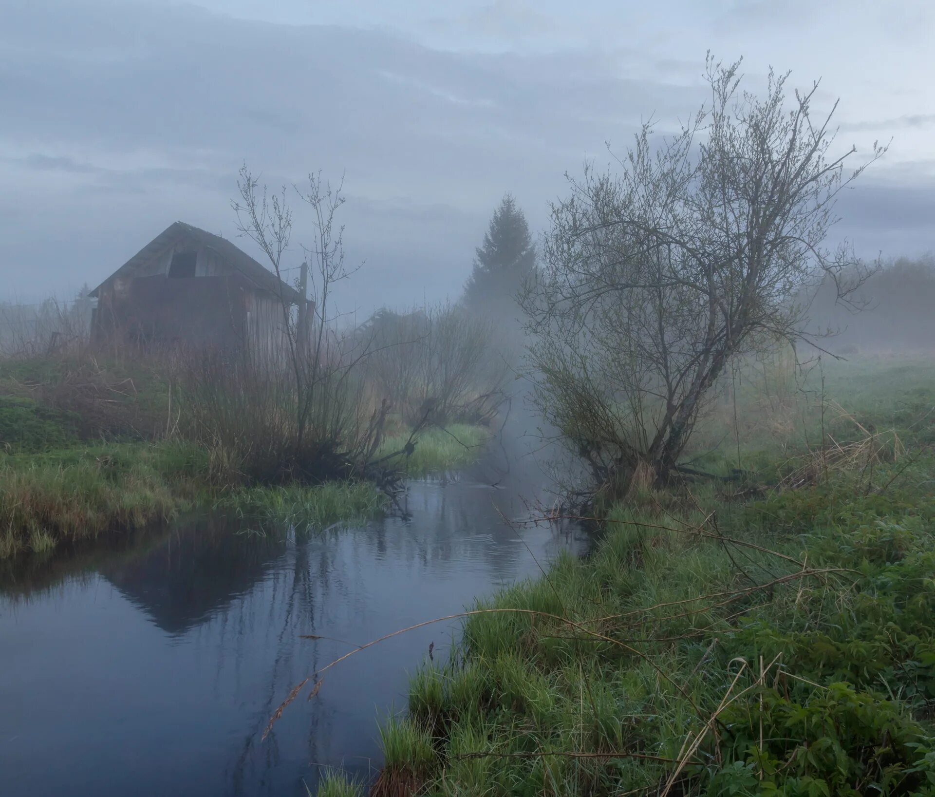 Брошенные деревни россии. Деревня разы. Недашицы. Деревня разы. Русь деревенская есенин.