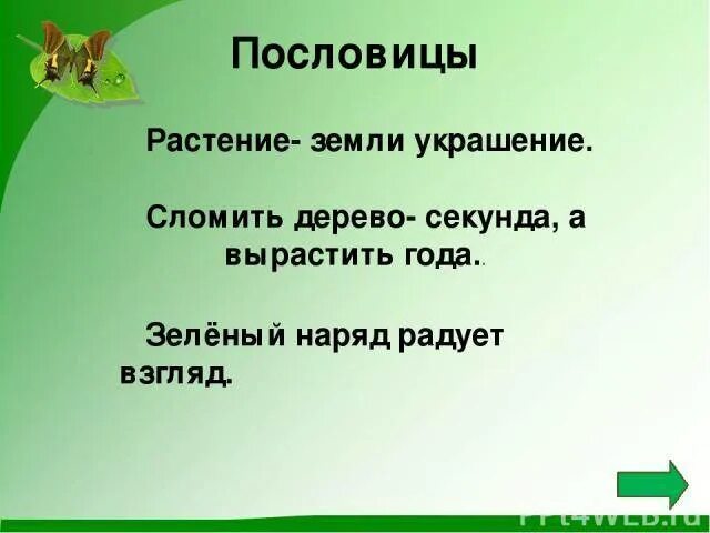 Леса украшающие нашу землю радуют глаз человека. Пословицы и поговорки о растениях. Поговорки о растениях. Пословицы о растениях. Загадки и пословицы о растениях.