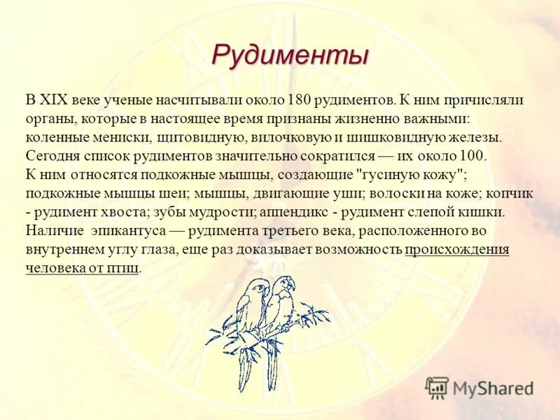 рыба лошадь мужчина характеристика. лев лошадь гороскоп. рождённый в год лошади мужчина. гороскоп рыба год лошади женщина. год лошадь и знак зодиака рыбы.
