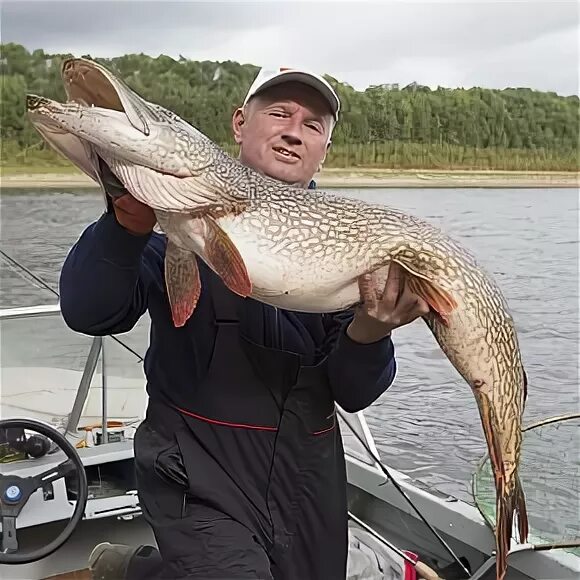 Рыба рыбакам екатеринбург. Владимир струев. струев владимир рыбалка. охота и рыбалка струев. евгений струев дикая рыбалка.