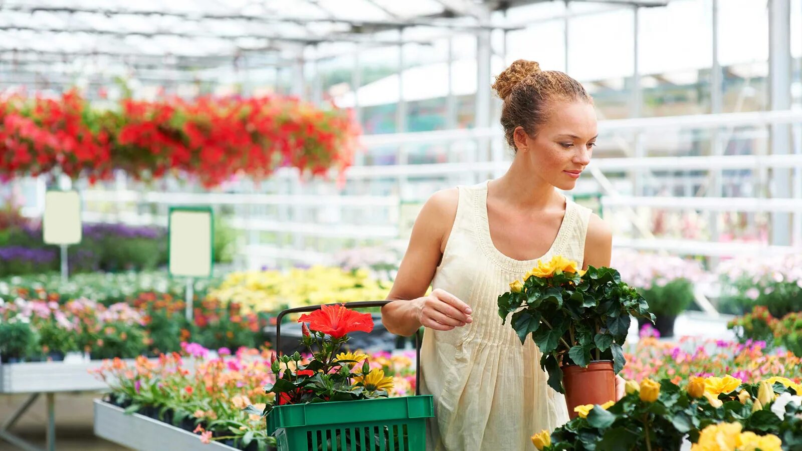 Все мои подруги выращивают цветы. Комнатные цветы для детей. Женщины на посадке цветов. Все мои подруги выращивают цветы. Девушка сажает цветы эстетика.