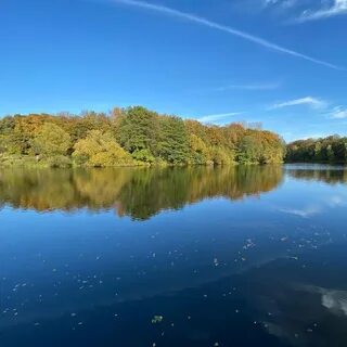 Прекрасно видное