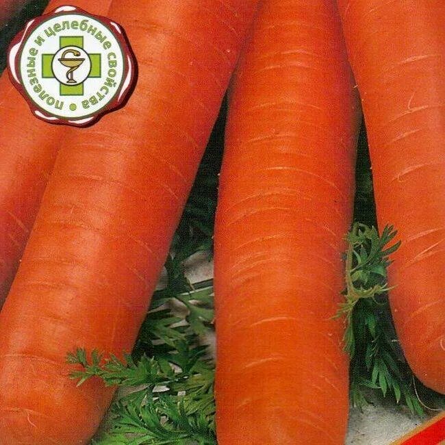 Хранение моркови в земле. Хранение моркови. Хранение моркови на зиму. Хранение моркови на зиму. Хранение моркови зимой.