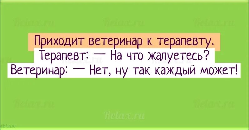 Приходит ветеринар к терапевту. Ветеринар приходит к врачу анекдот. Анекдоты про ветеринаров. Цитаты ветврачей. Анекдоты ветеринара