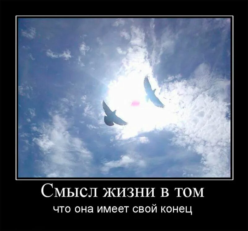 Жизнь имеет конец. Картинки со смыслом. о смысле жизни. картинки со смыслом о жизни. демотиваторы со смыслом про жизнь.