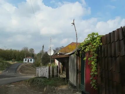 Некрасово отзывы