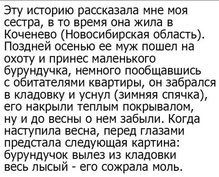 Снежная королева 5 глава читать. Краткий пересказ Снежная Королева. Пересказ сказки Снежная Королева. Краткий пересказ сказки Снежная Королева. Снежная Королева краткое содержание.