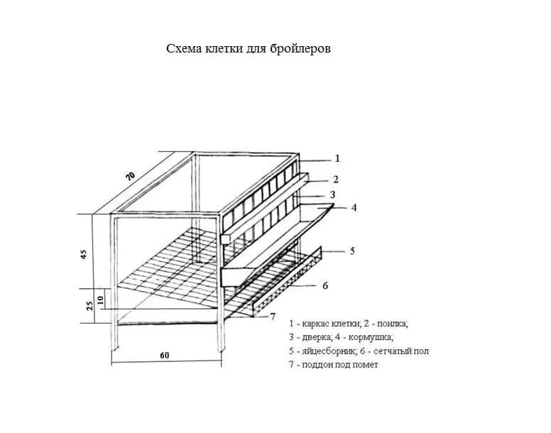 Клетка для перепелов чертежи фото. Клетка для кур бройлеров своими руками чертежи и Размеры. Чертеж клетка Брудер для перепелов. Клетки для кур несушек своими руками чертежи Размеры Размеры на 10. Чертеж клетки для кур бройлеров.