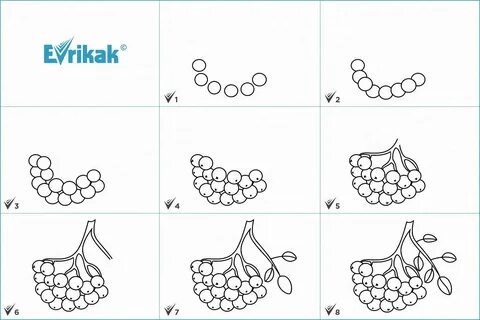 Как нарисовать ветку рябины поэтапно.