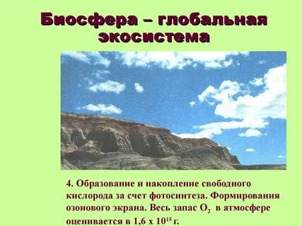 Биосфера экосистема которая