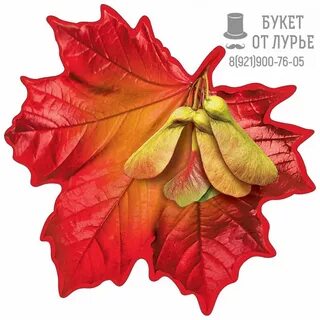 Декоративные листья клена