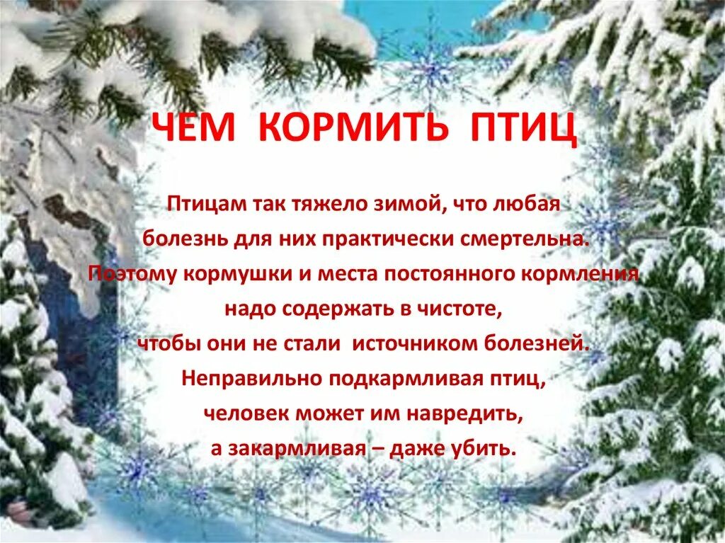 Зачем нужно подкармливать птиц зимой. Почему нужно кормить птиц. Почему нужно кормить птиц зимой. Почему необходимо кормить птиц зимой.