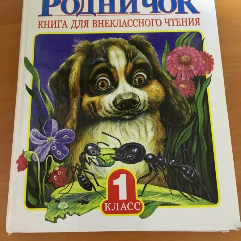 Родничок книга. Сказка Родничок 1 класс. Родничок 4 класс. Родничок книга 1995.