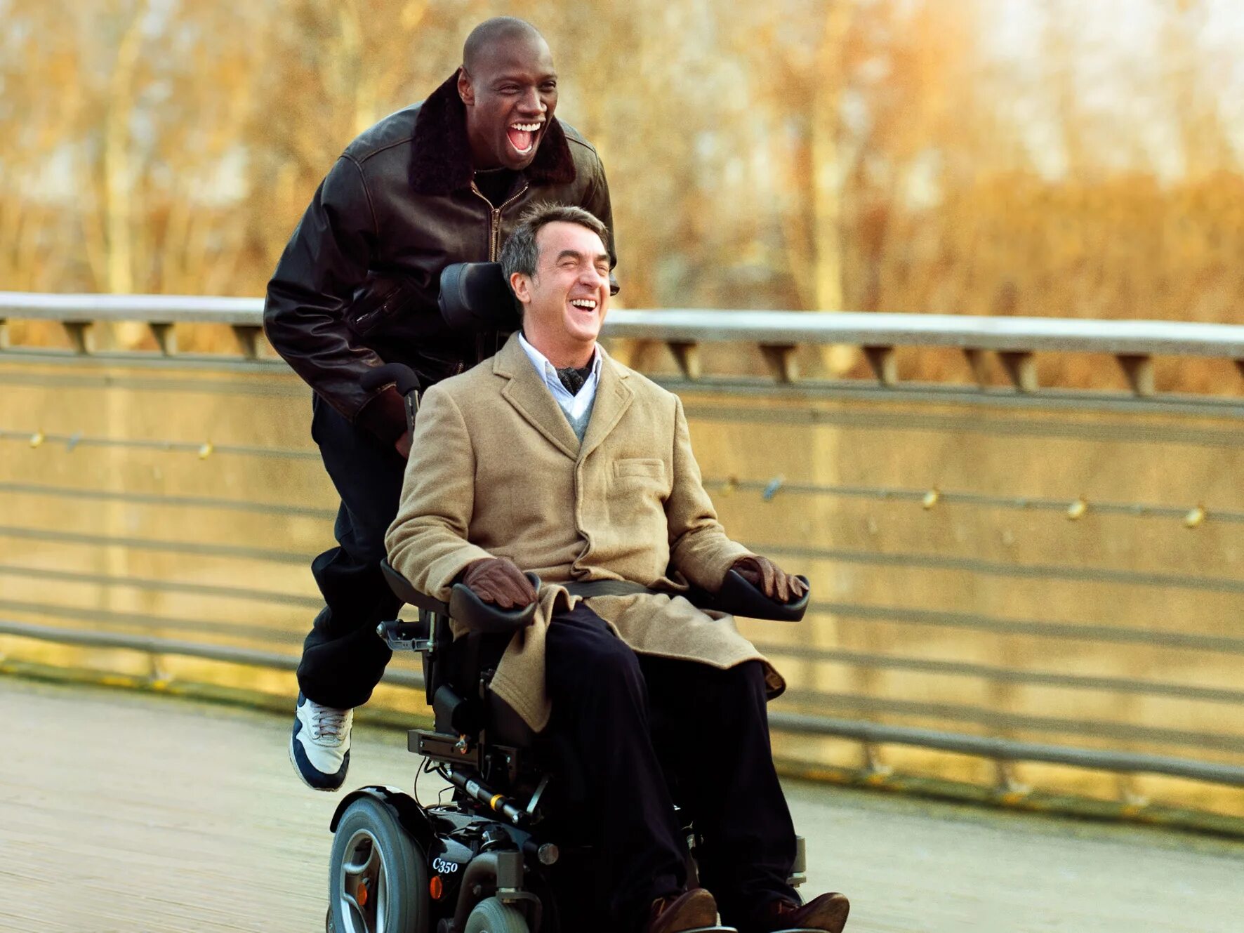 1+1 Неприкасаемые. Неприкасаемые 1+1 (intouchables.