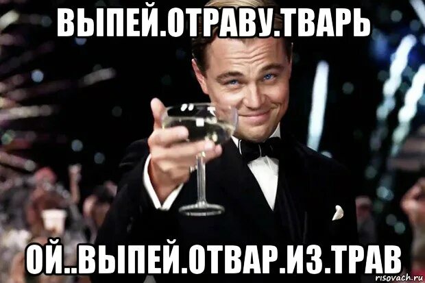 Выпей отравы тварь. Выпей отвары трав отравы тварь. Мем выпей отравы тварь. Выпей отравы тварь Ой выпей отвар из трав.