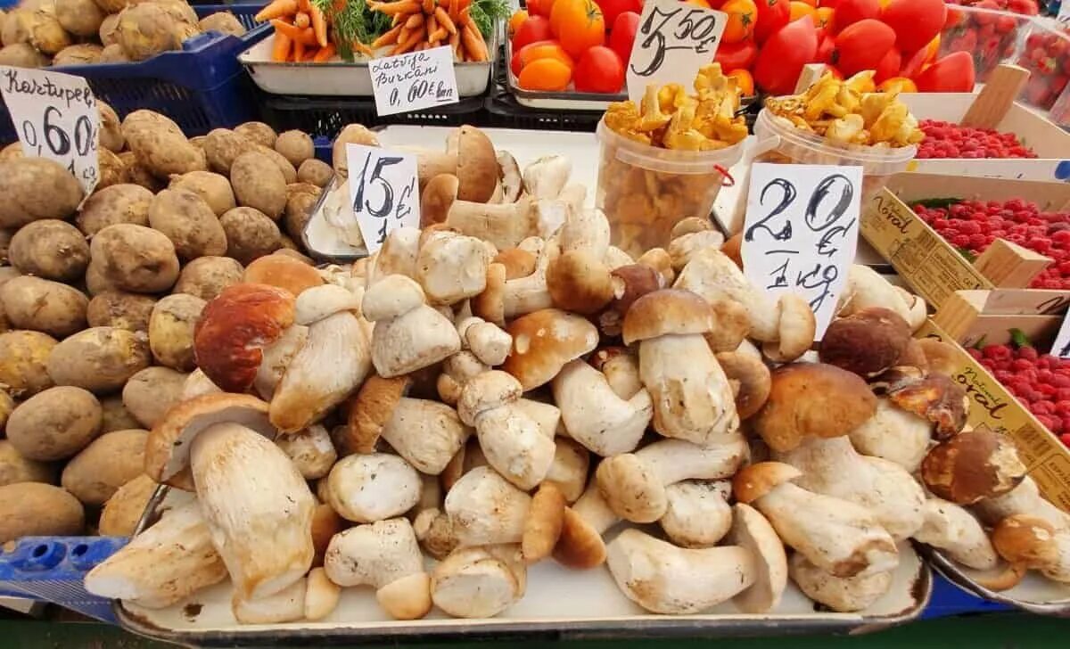 Сколько стоит 1 кг грибов
