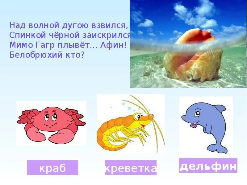 Загадка про обитателей морей. Загадка про обитателей морей. Загадки о подводном мире. Загадка про обитателей морей. Загадки на тему рыбы.
