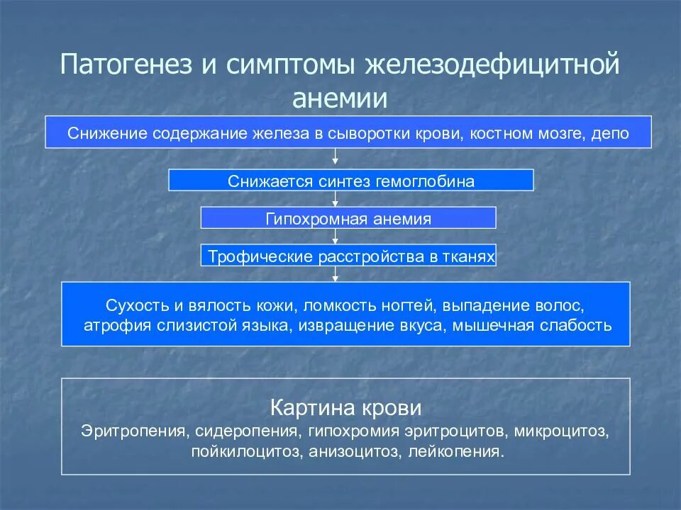 Признаки дефицитной анемии. Патогенез железодефицитной анемии. Механизм развития железодефицитной анемии. Схема патогенеза анемий. Механизм развития железодефицитной анемии патофизиология.