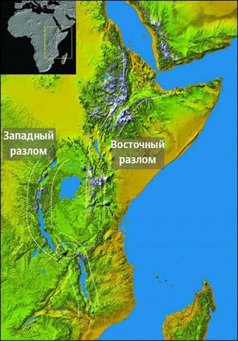 Восточно-Африканская рифтовая Долина. Восто́чно-Африка́нская ри́фтовая Доли́на. Рифтовая Долина в Африке. Восточно-Африканская рифтовая Долина Кения. Озера африканского разлома