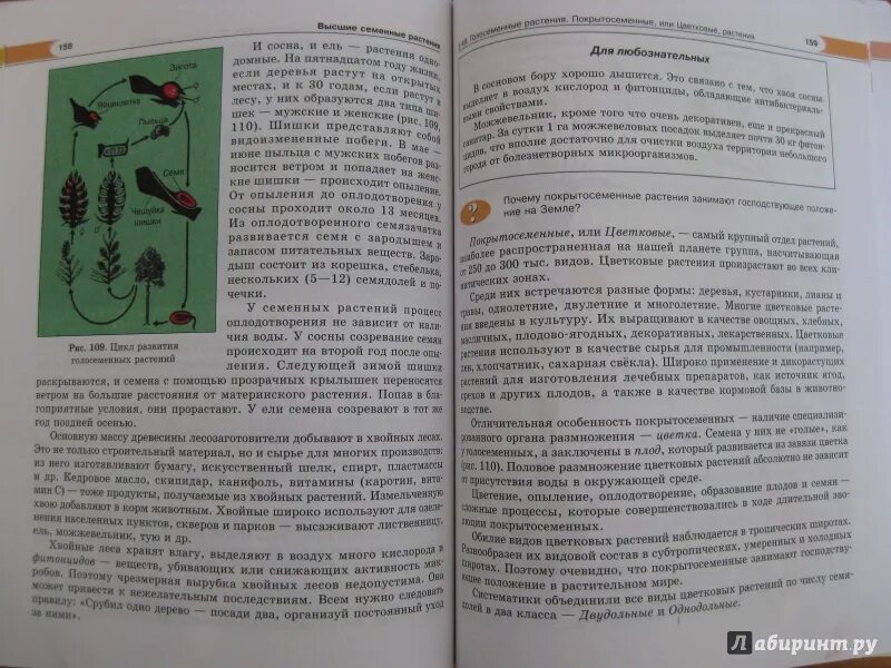 Биология трайтак читать. Биология 6 класс растения грибы Трайтак. Учебник биологии растения. Учебник по биологии 6 класс Трайтак грибы растения. Трайтак биология 6 класс грибы.