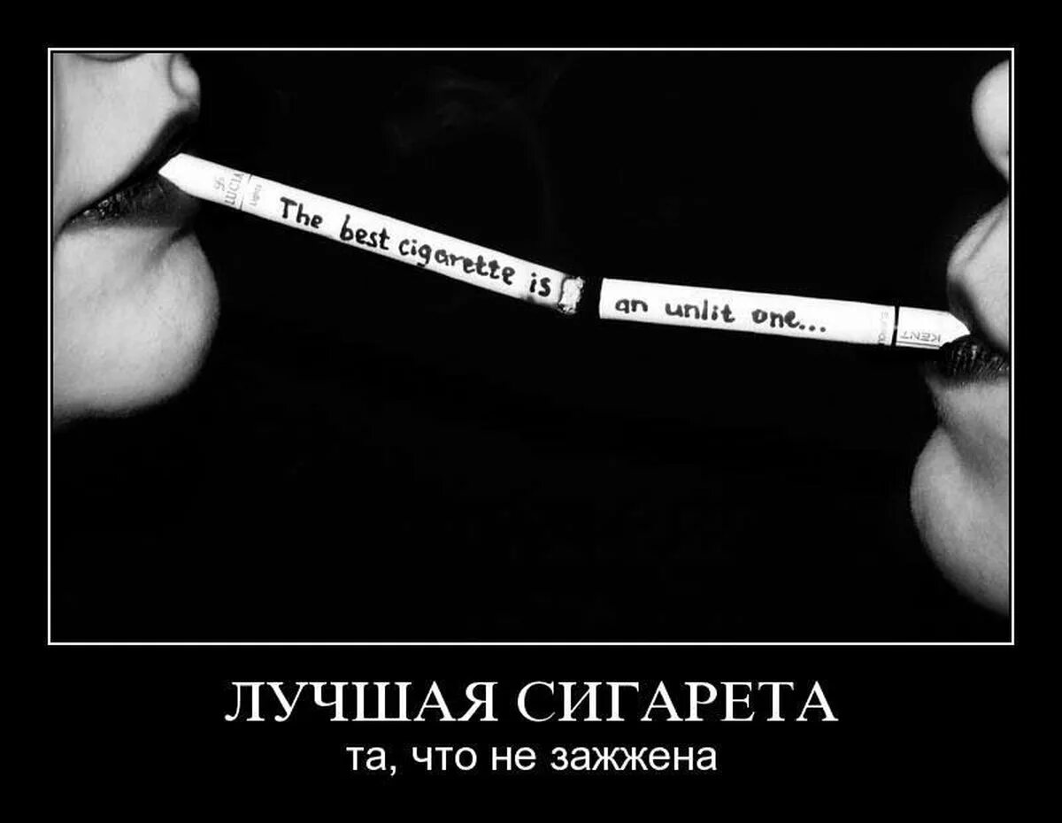 Песни со словами сигарета. Афоризмы про сигареты. Сигареты демотиваторы. Цитаты про сигареты. Демотиваторы против курения.