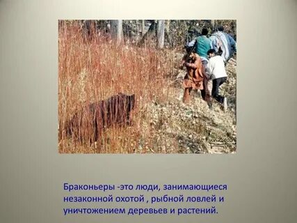 Занимается незаконной деятельностью