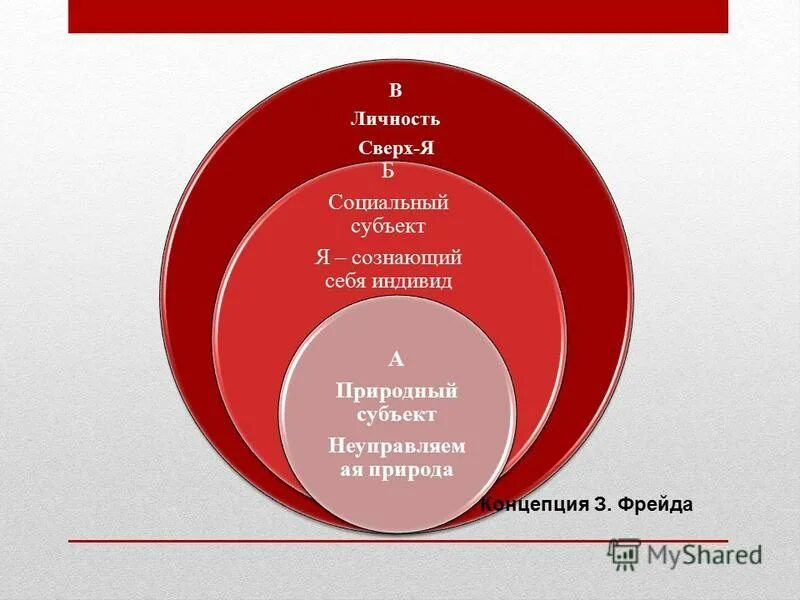 личность и общество реферат