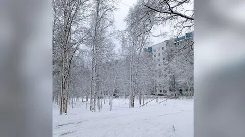 Прогноз погоды в тынде на 10 дней